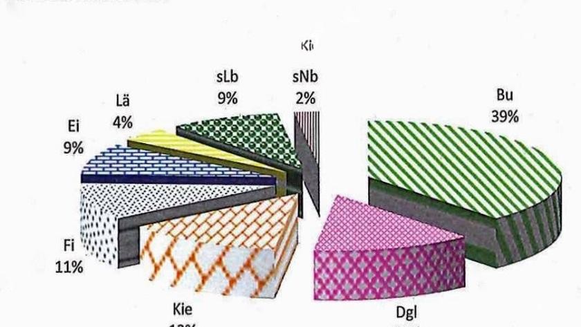 Kuchendiagramm Baumarten